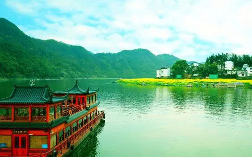 全自动可靠性高性能
